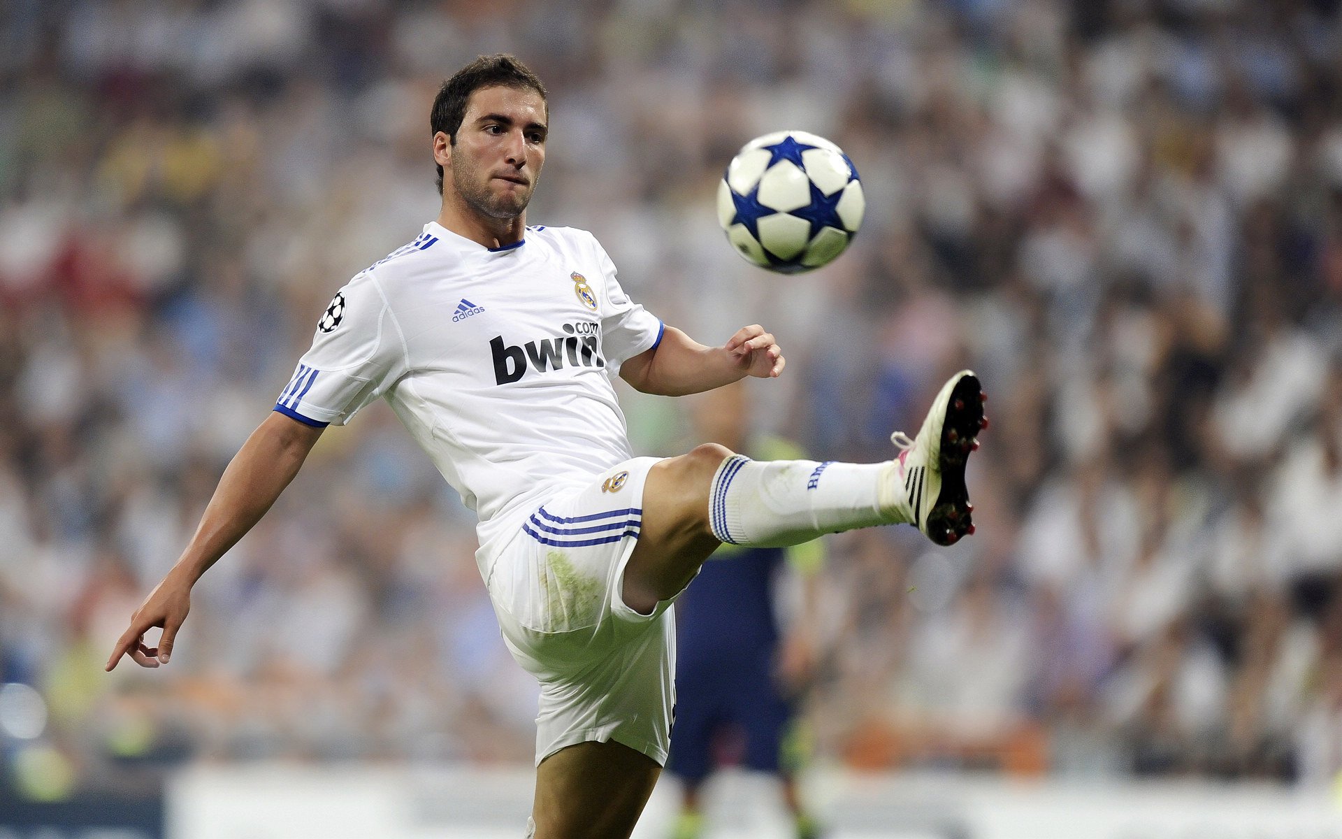 德甲龙争虎斗:多特爆冷败北,积分差距缩小至2分,德甲多特对科隆