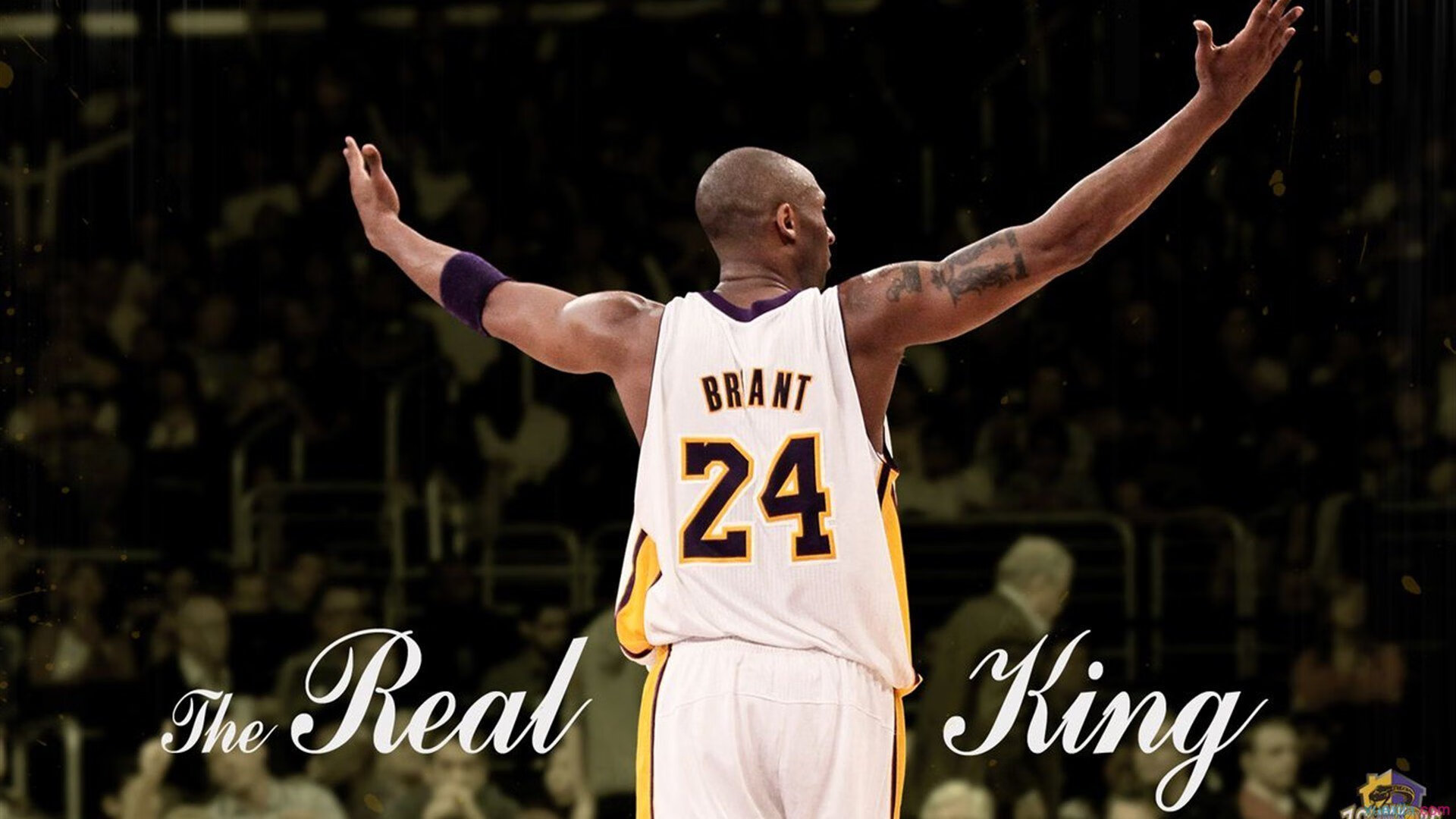 智能化场馆大数据分析实现精细化管理,赛场有序运行,场馆智能化管理系统方案